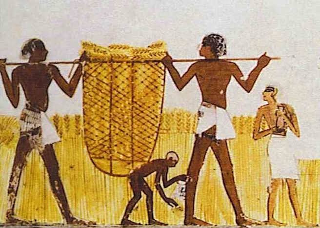 Eski Mısır'da Halkın yaşamı nasıldı?