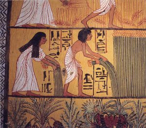 Mısırlılar Sebze