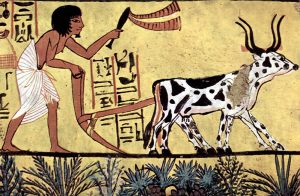 Sennedjem'in mezar odasında tarla süren bir çiftçi